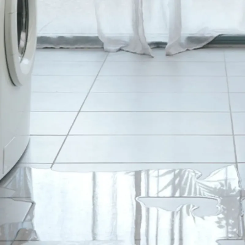 Appliance Leak Cleanup in Crisp County, GA