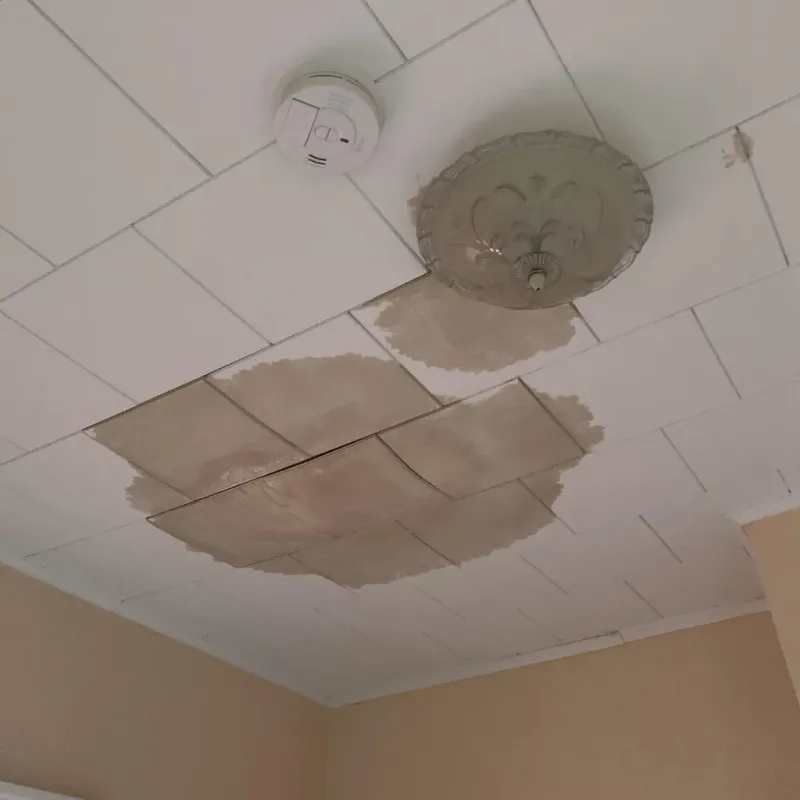 Ceiling Water Damage Repair in Crisp County, GA